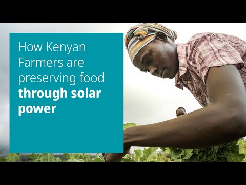 How Kenyan Farmers are preserving food through solar power