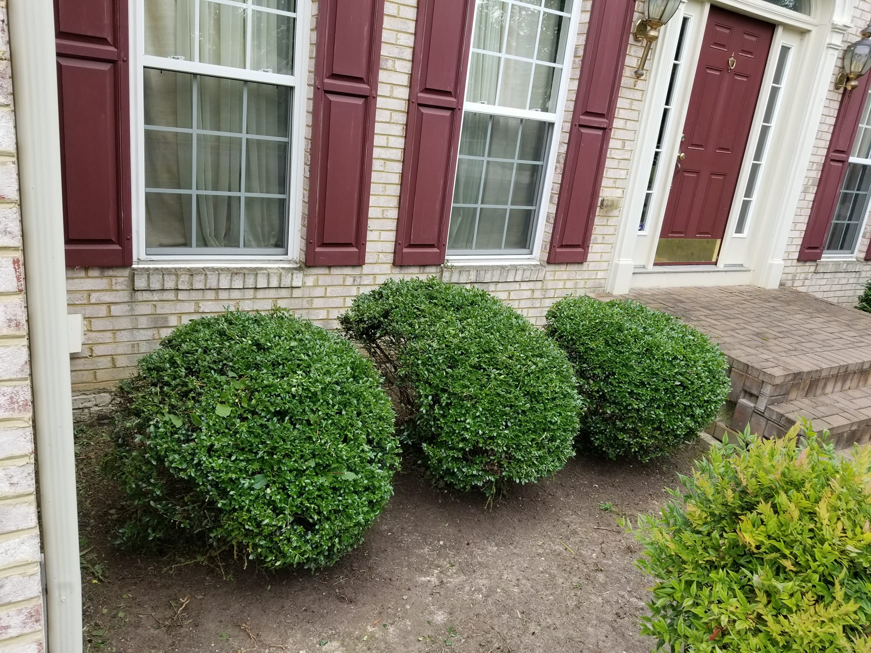 7.20_yardwork