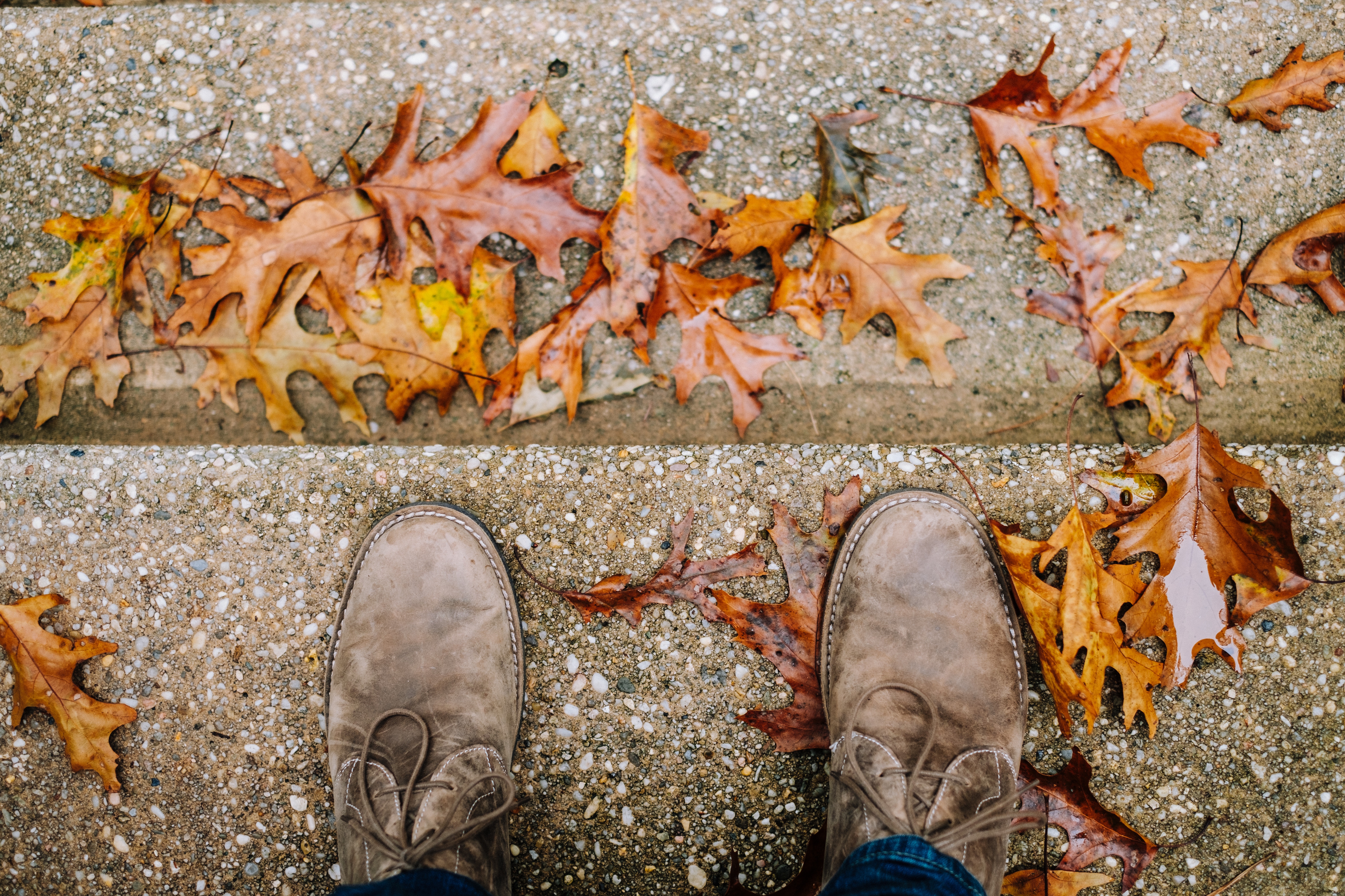 michael-mroczek-445286-unsplash