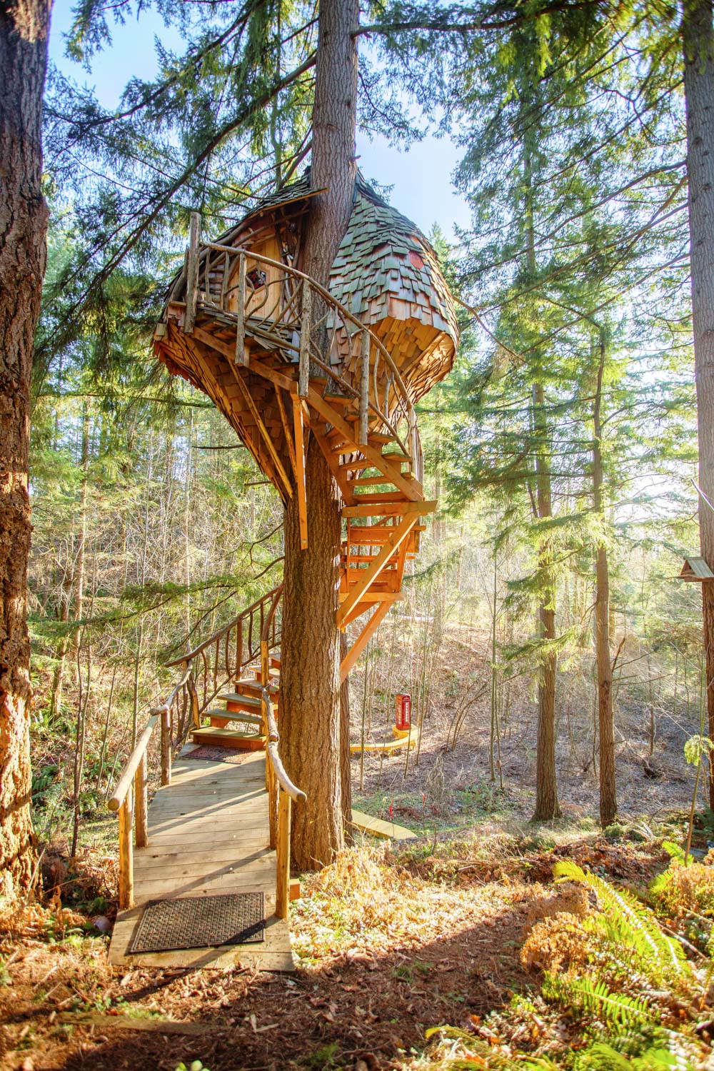 Beehive-WA-Nelson-Treehouse-2018-1