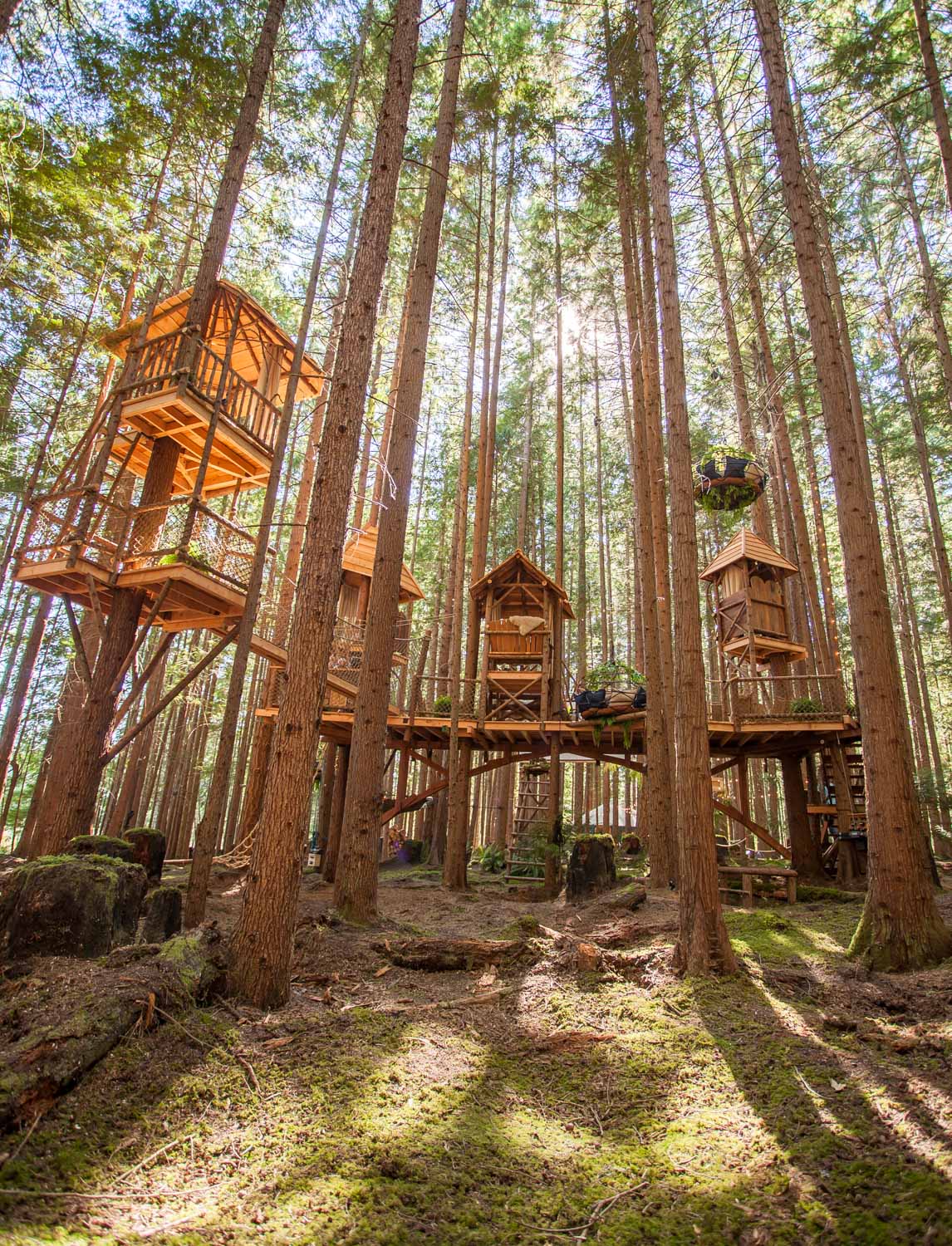Treetop-Theater-WA-Nelson-Treehouse-2018-2.jpg