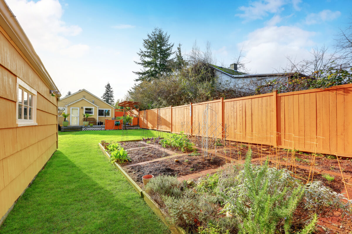 Small vegetable garden with risen beds in the fenced backyard 