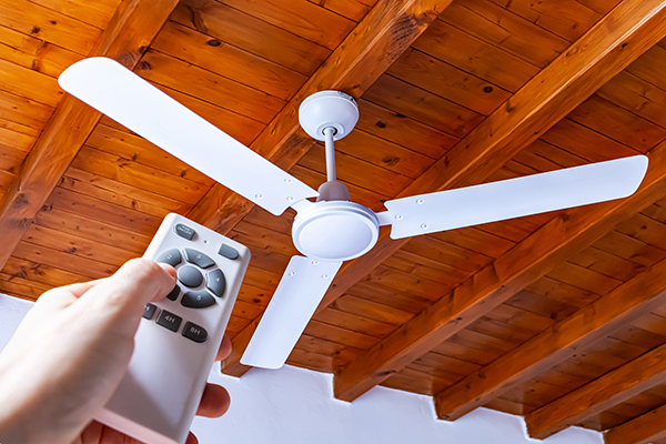 Ceiling Fan Direction In Winter Vs Summer Taskrabbit Blog