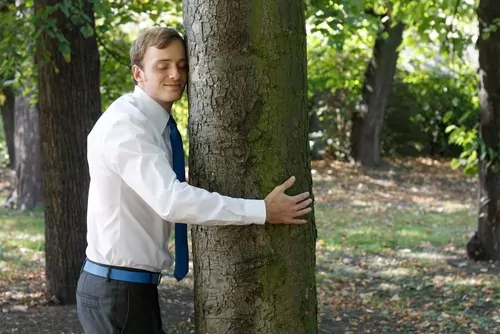 treehug