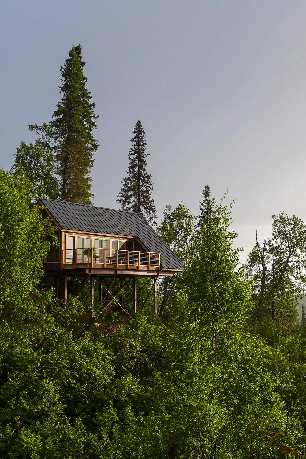 Denali-Princess-Cruises-Nelson-Treehouse-3