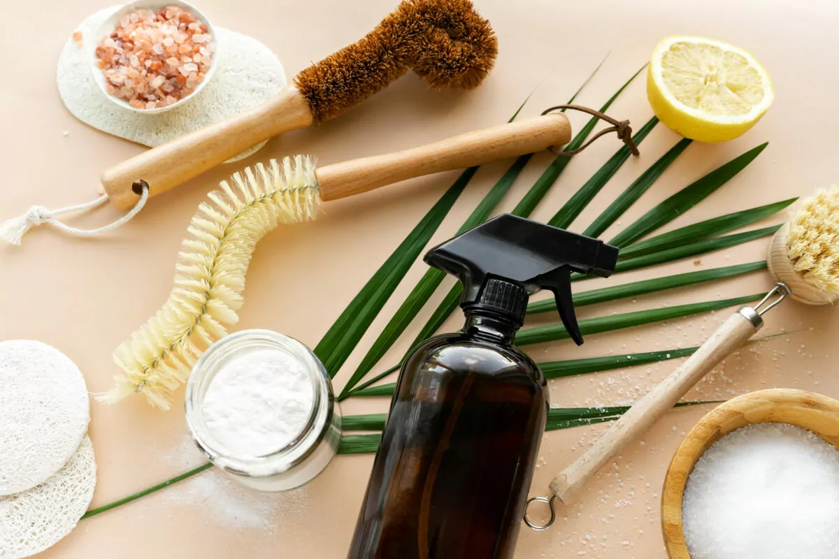 image of eco-friendly cleaning tools - brushes ,salt, baking soda, lemon, citric acid, vinegar